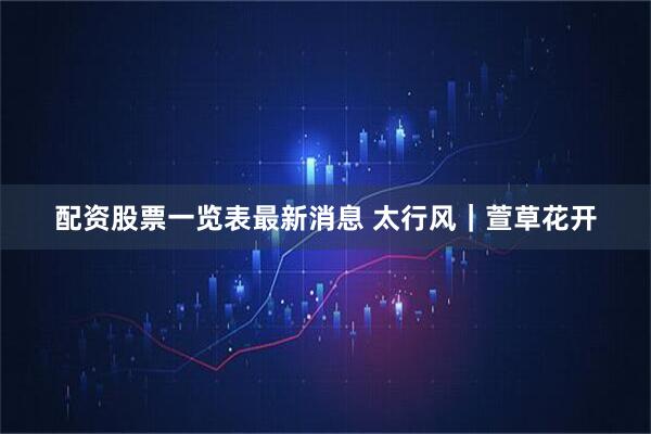配资股票一览表最新消息 太行风｜萱草花开