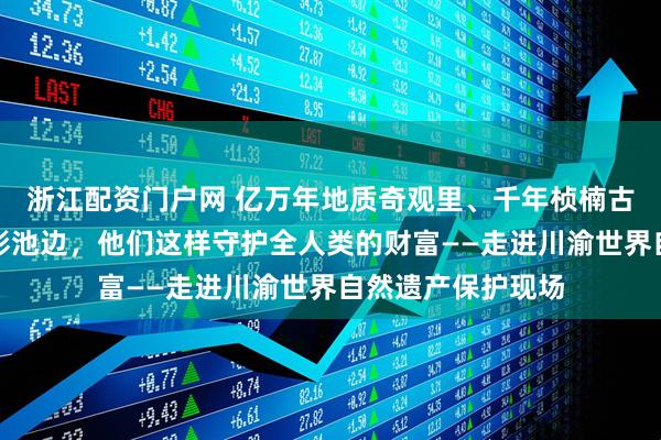 浙江配资门户网 亿万年地质奇观里、千年桢楠古树下、高原瑶池彩池边，他们这样守护全人类的财富——走进川渝世界自然遗产保护现场